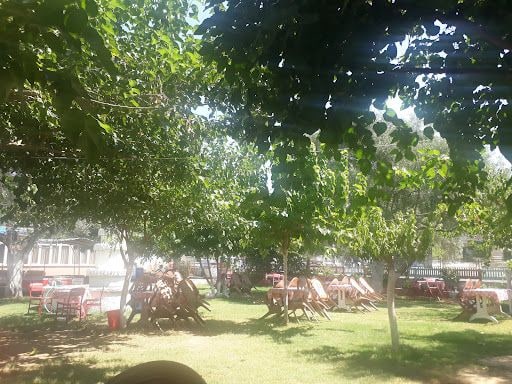 Fotoğraf 11