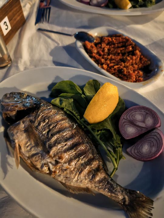 Fotoğraf 16