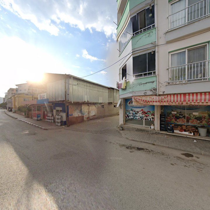 Fotoğraf 7