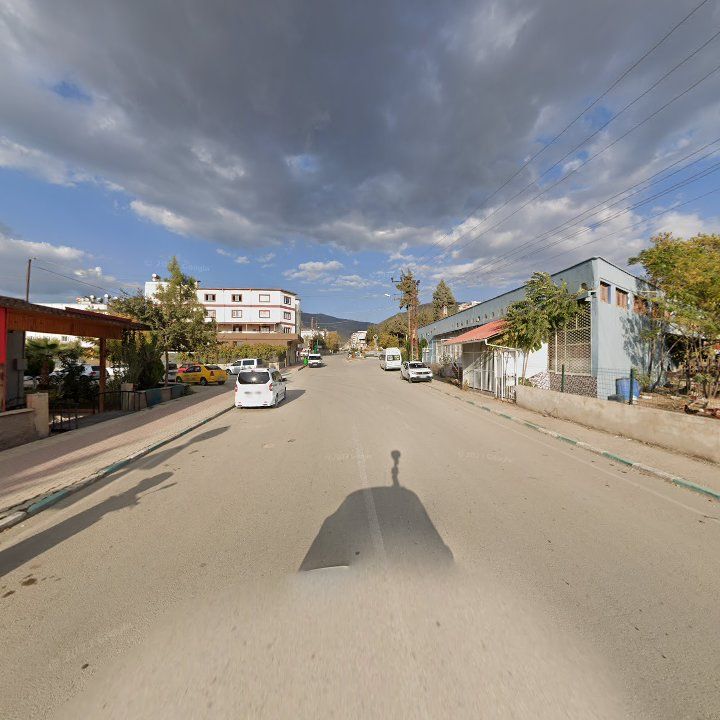 Fotoğraf 6