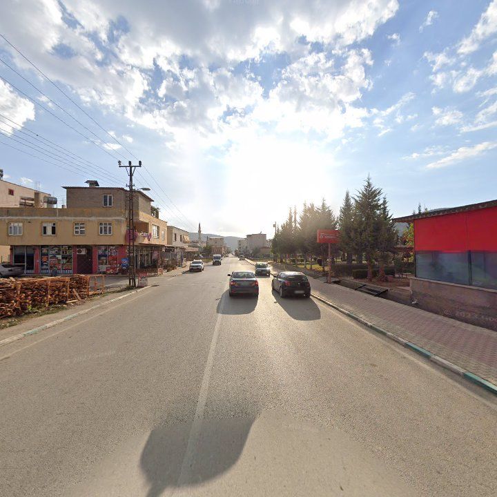 Fotoğraf 8