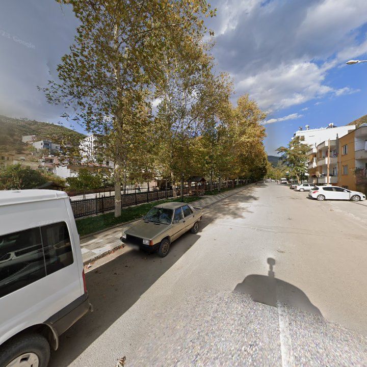 Fotoğraf 7