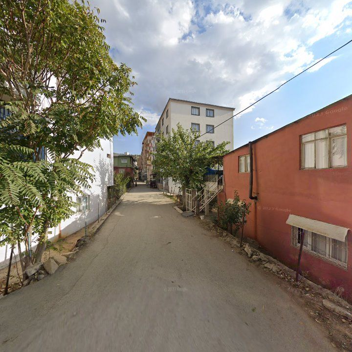 Fotoğraf 7