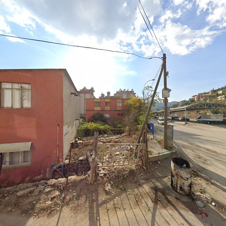 Fotoğraf 8