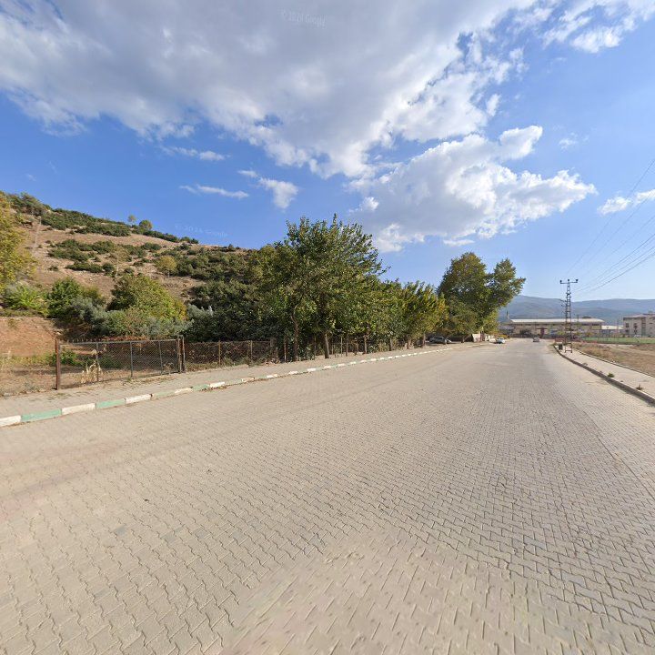 Fotoğraf 11