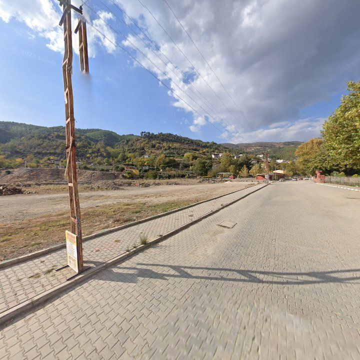 Fotoğraf 13