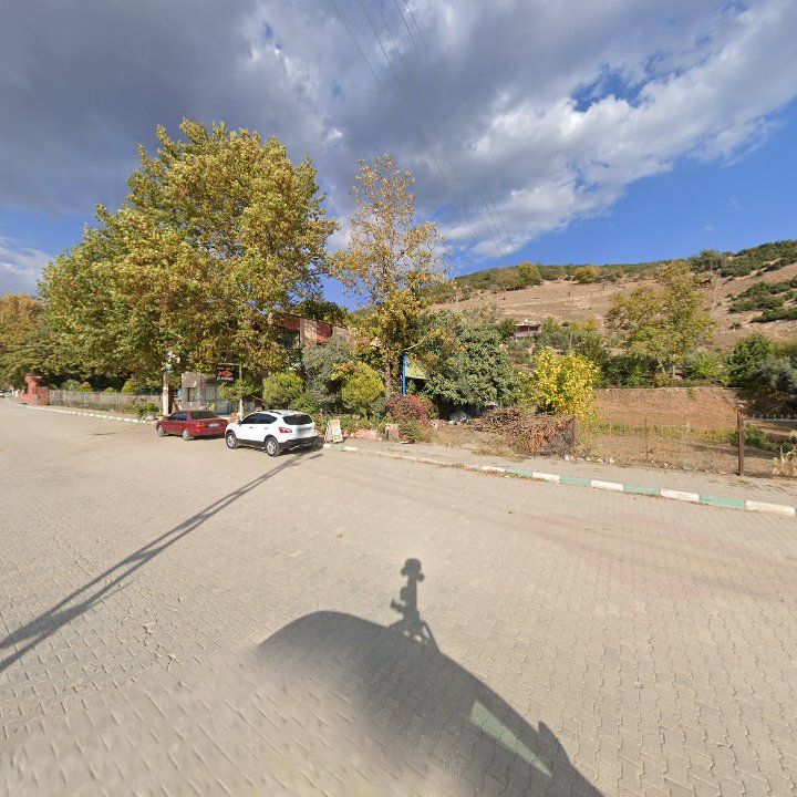 Fotoğraf 10