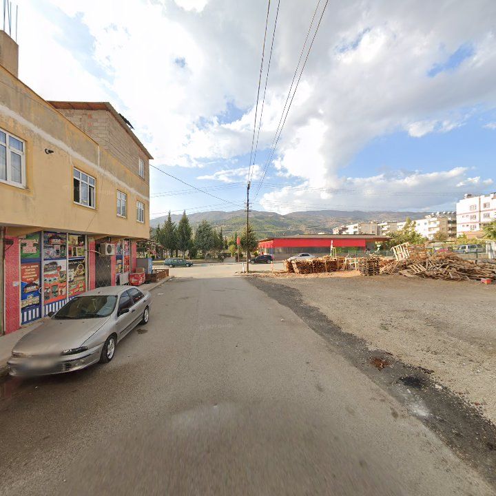 Fotoğraf 7