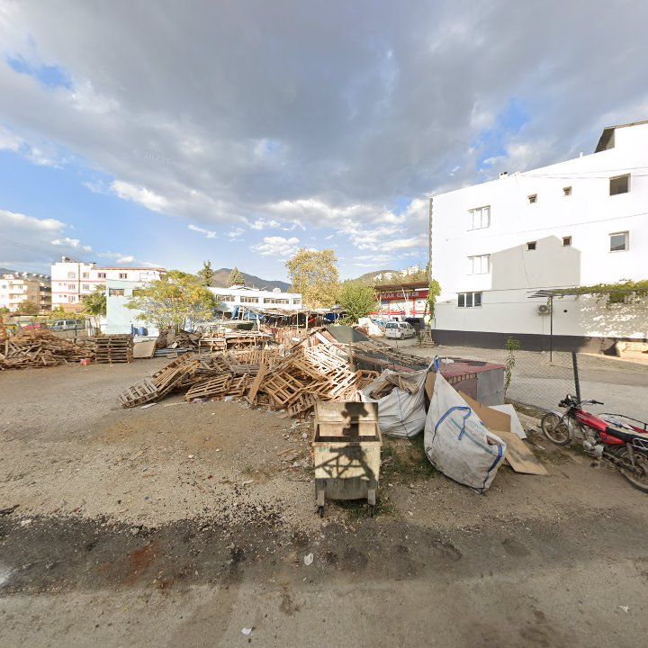 Fotoğraf 8