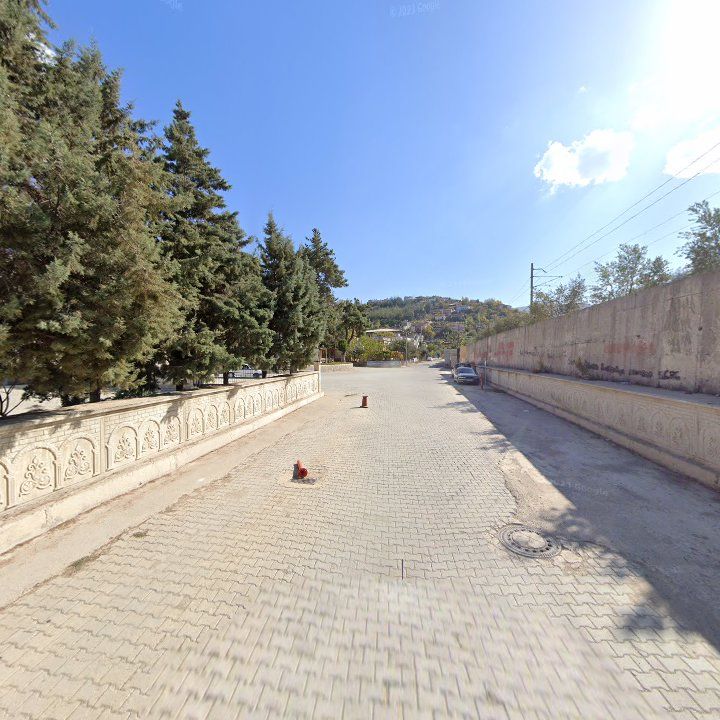 Fotoğraf 6