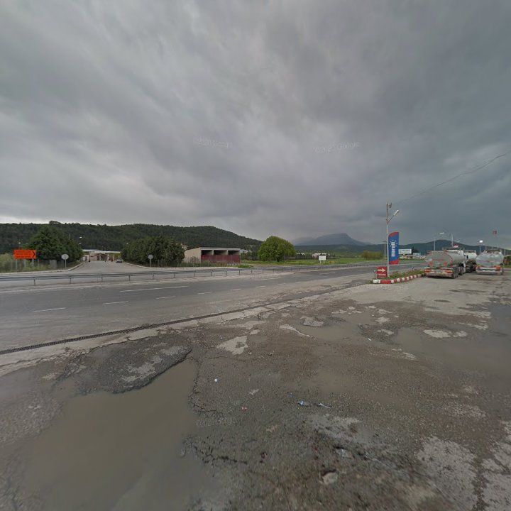 Fotoğraf 8