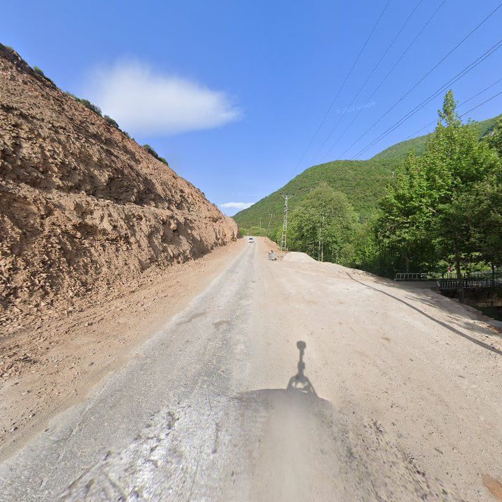 Fotoğraf 10