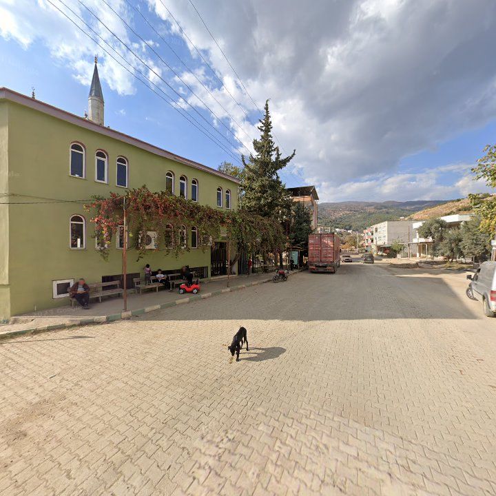 Fotoğraf 2