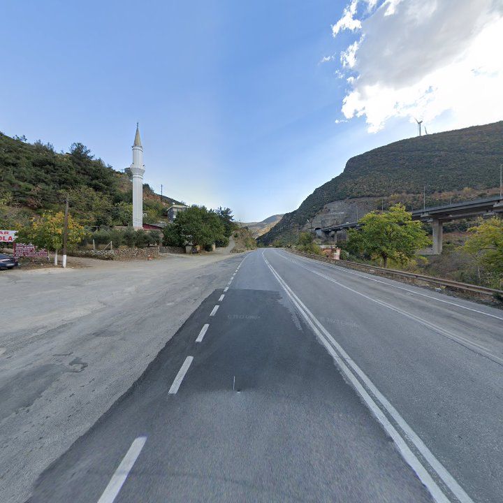 Fotoğraf 6