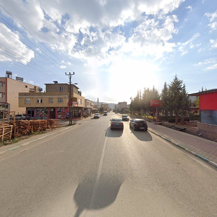 Fotoğraf 7