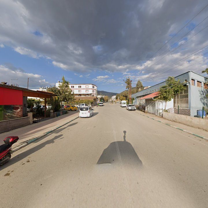 Fotoğraf 5