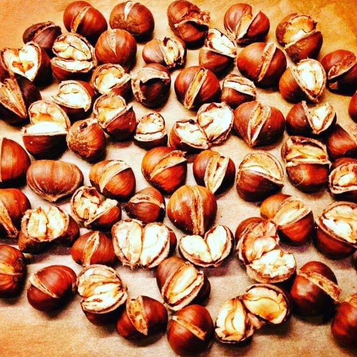 Fotoğraf 20
