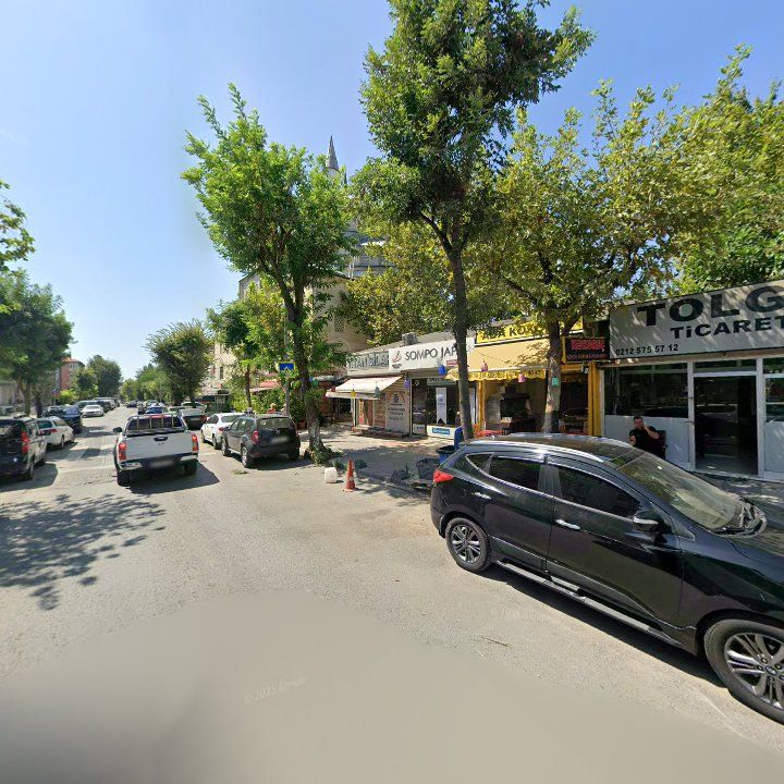 Fotoğraf 8