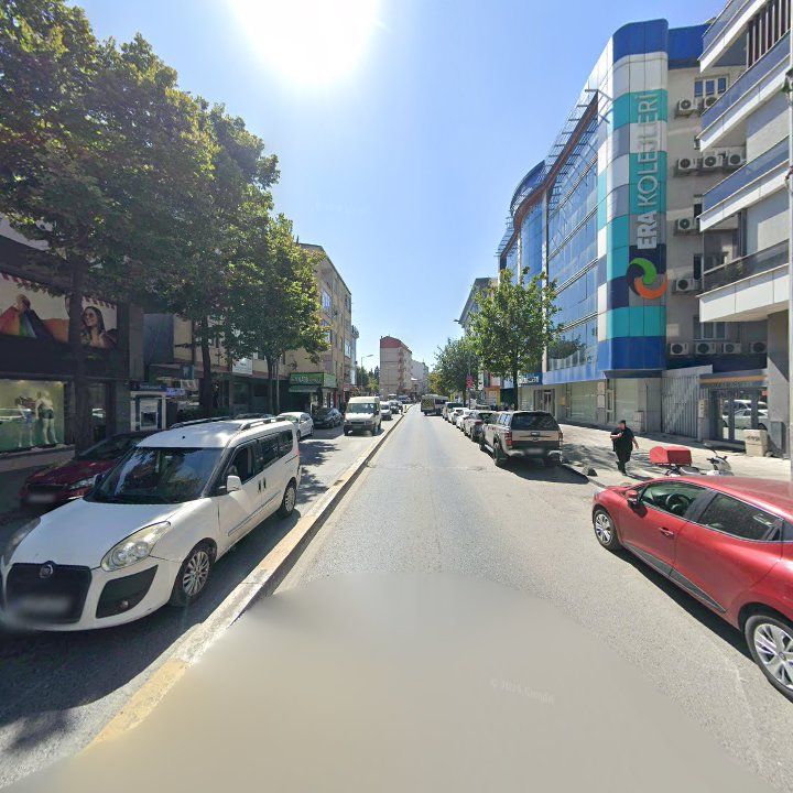 Fotoğraf 12