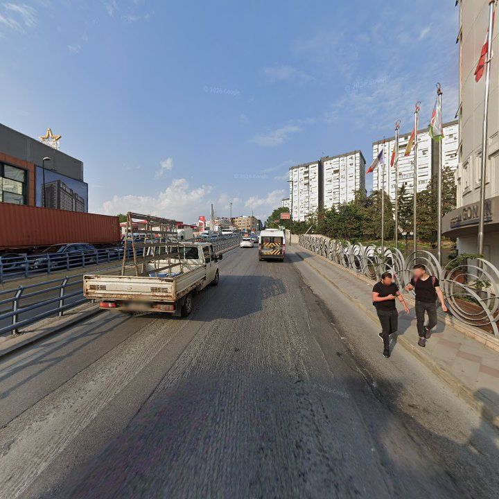Fotoğraf 12