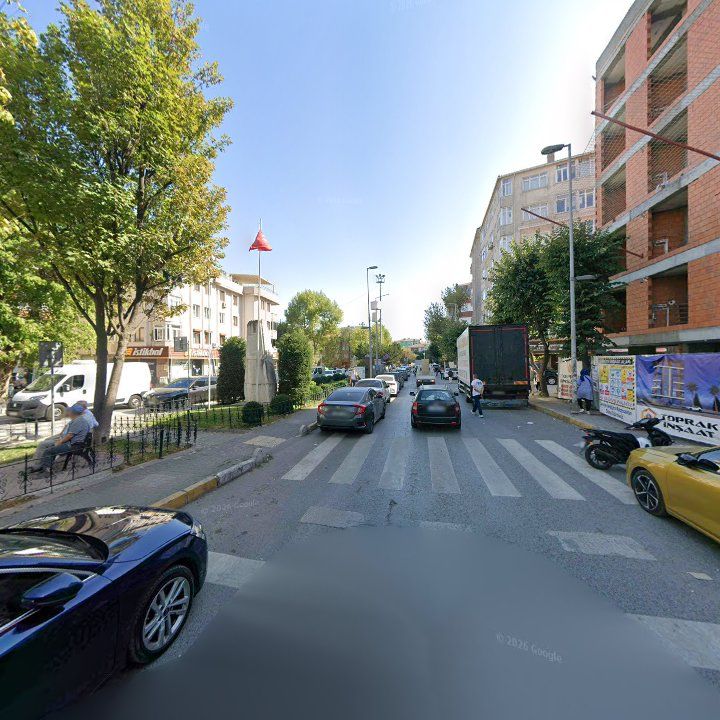 Fotoğraf 10