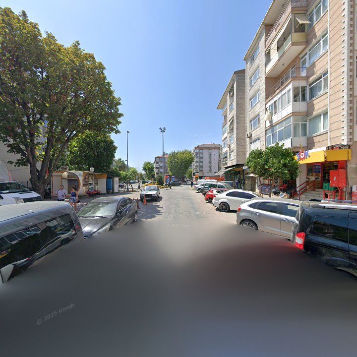 Fotoğraf 11