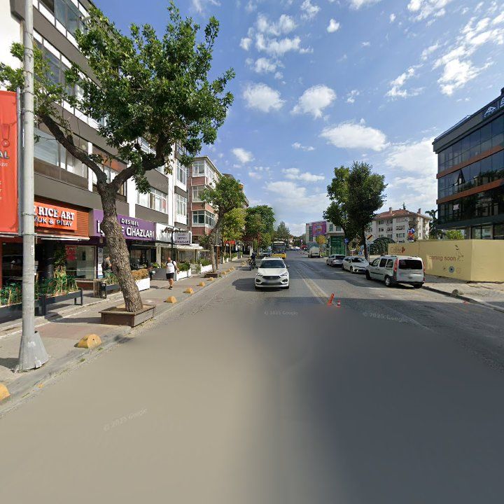 Fotoğraf 12