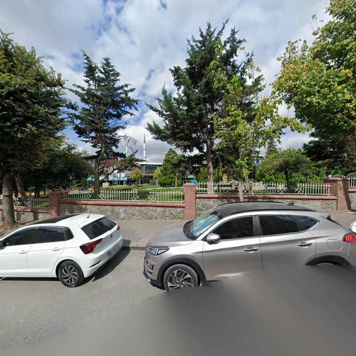 Fotoğraf 9