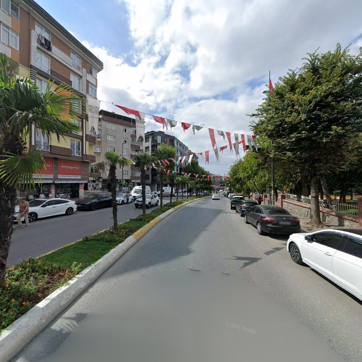 Fotoğraf 12