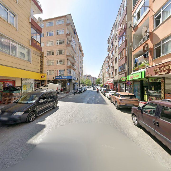 Fotoğraf 11