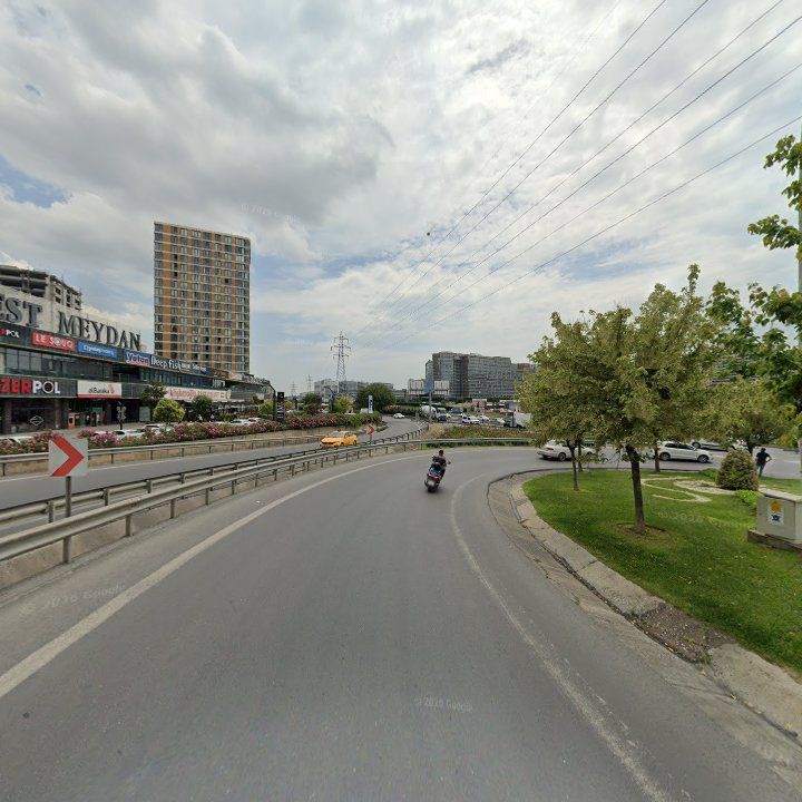 Fotoğraf 10