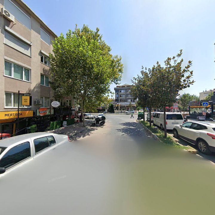 Fotoğraf 11