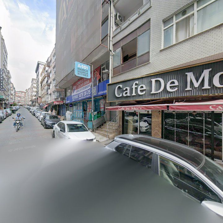 Fotoğraf 8