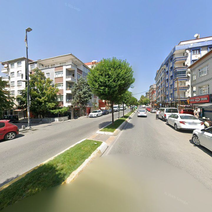 Fotoğraf 10