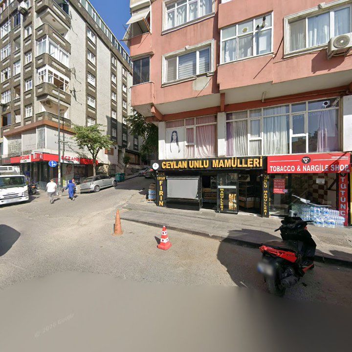 Fotoğraf 7