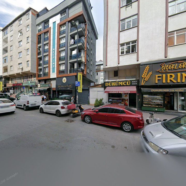 Fotoğraf 10