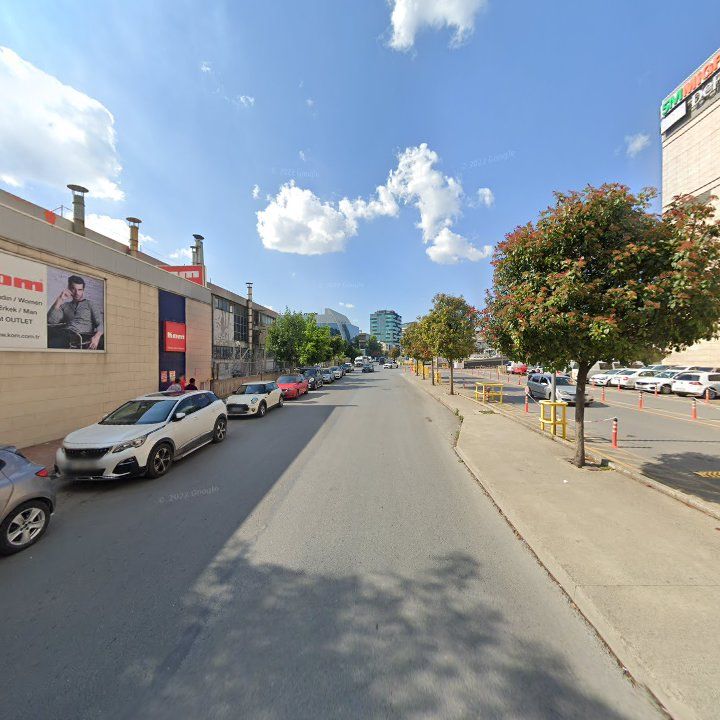 Fotoğraf 10