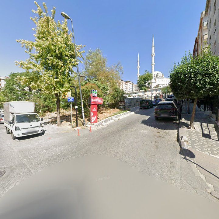 Fotoğraf 8