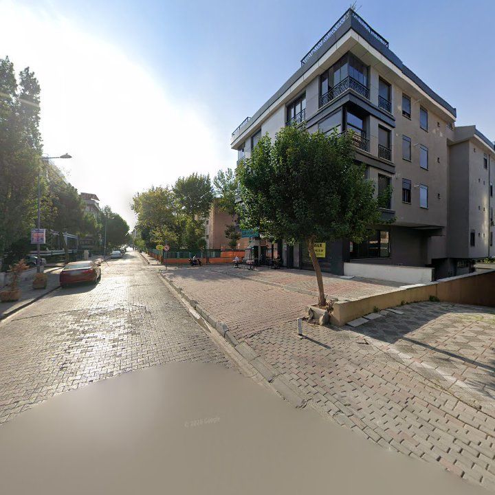 Fotoğraf 12