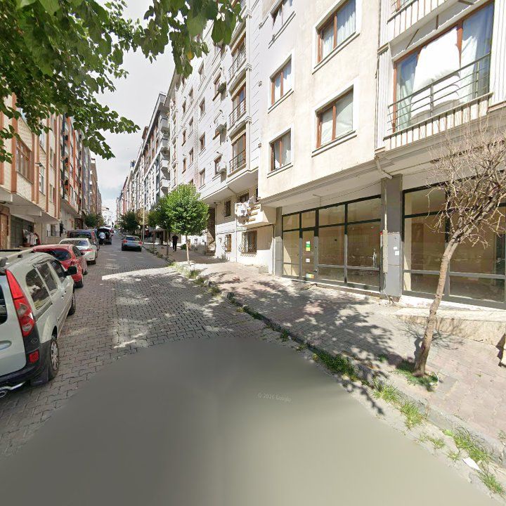 Fotoğraf 11