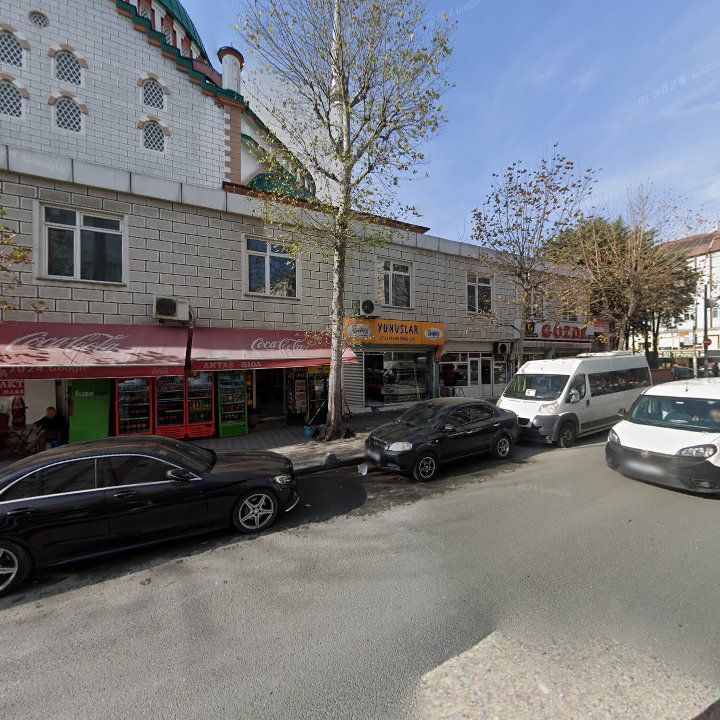 Fotoğraf 9