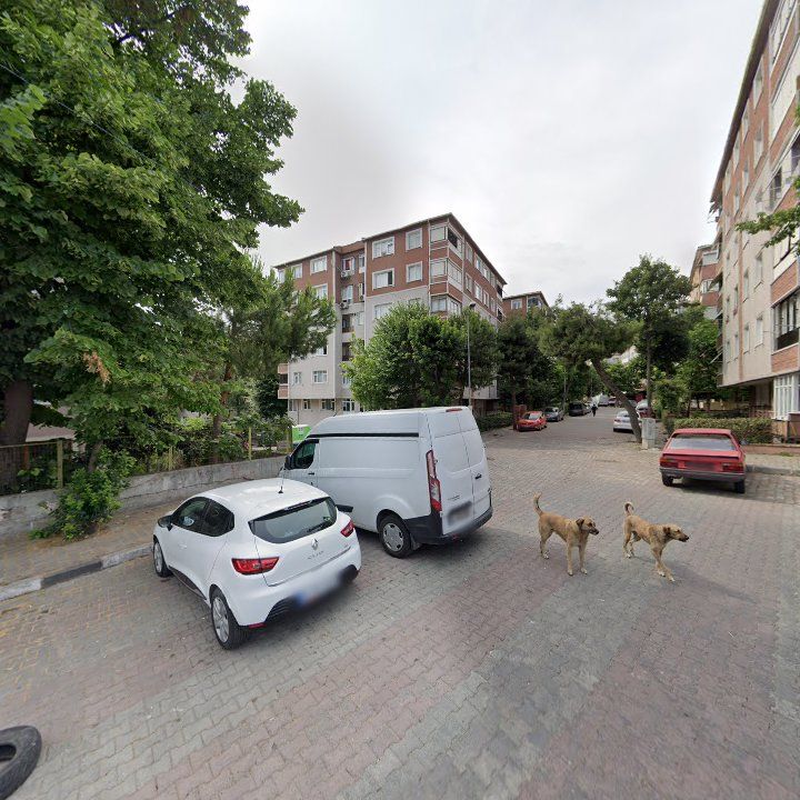 Fotoğraf 10