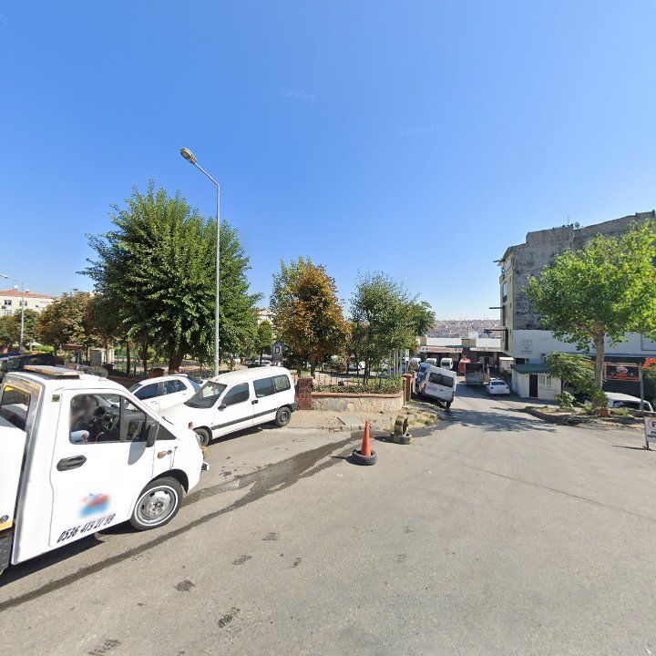 Fotoğraf 15