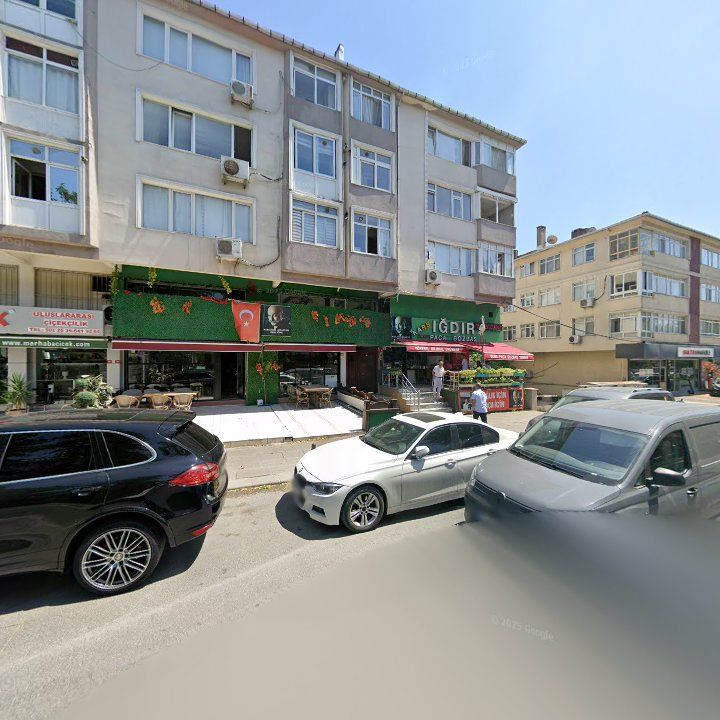 Fotoğraf 10