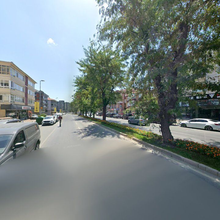 Fotoğraf 11