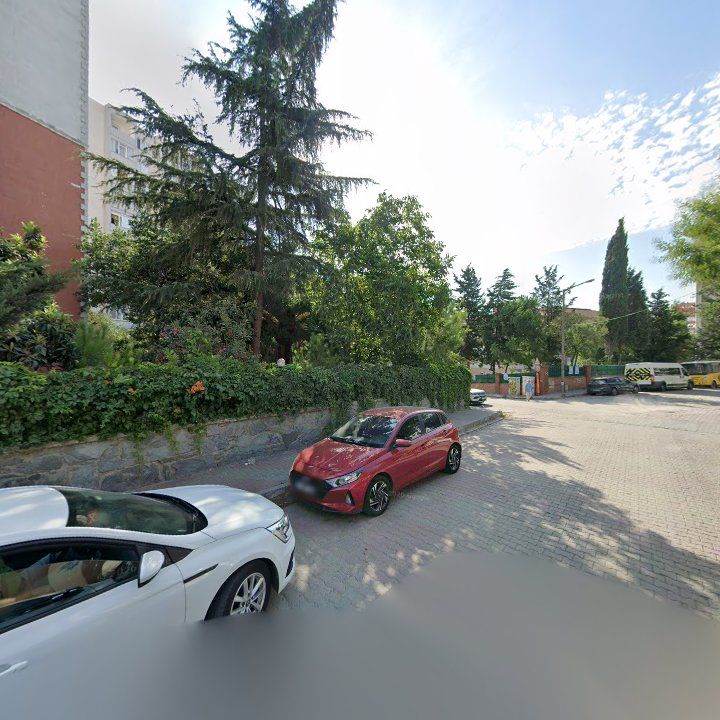 Fotoğraf 10