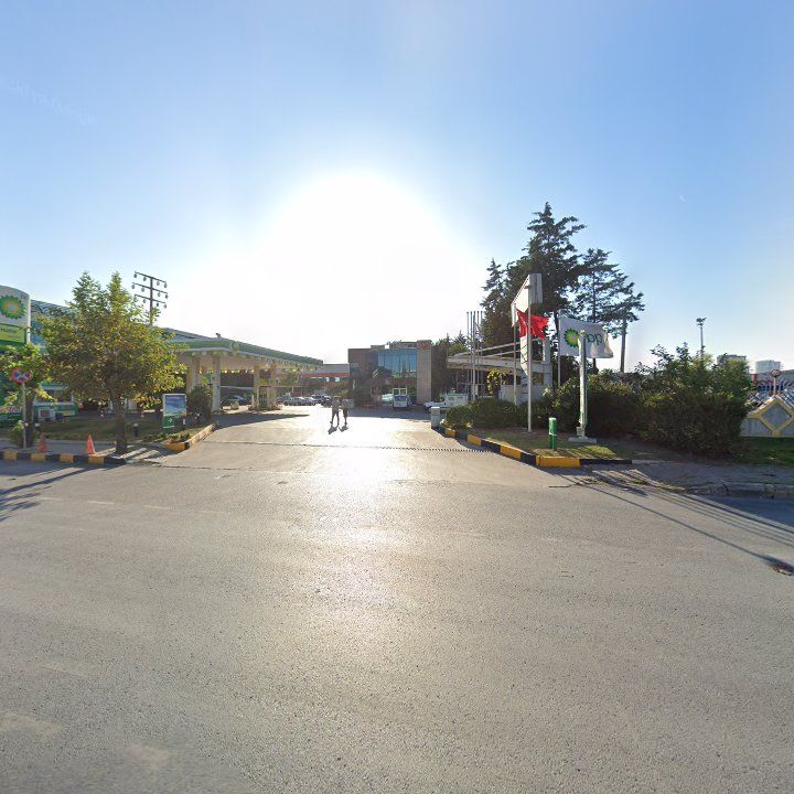 Fotoğraf 13