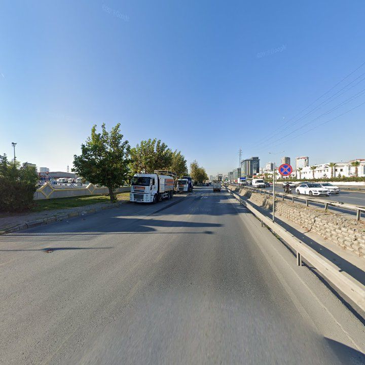 Fotoğraf 14