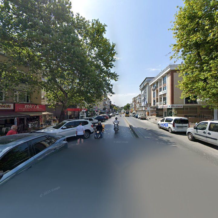 Fotoğraf 10