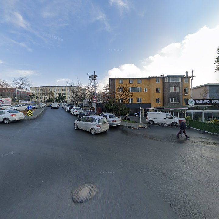 Fotoğraf 8